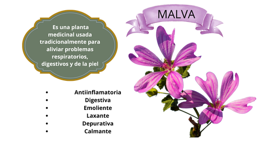 Té Sukunai Kiros D.TOX